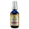 Flower Essence Services St. John's Shield (2 Fl Oz) #8351 2 Flower Essence Services St. John's Shield (2 Fl Oz) #8351 -Personal Care Store 10774 DEFAULT L