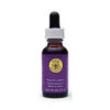 Flower Essence Services Self Heal (1 Fl Oz) #8463 2 Flower Essence Services Self Heal (1 Fl Oz) #8463 -Personal Care Store 10853 DEFAULT L