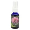 Flower Essence Services Fear-Less (1 Fl Oz) #28404 -Personal Care Store 21652 DEFAULT L