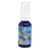 Flower Essence Services Grief Relief (1 Fl Oz) #28406 2 Flower Essence Services Grief Relief (1 Fl Oz) #28406 -Personal Care Store 21654 DEFAULT L