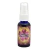 Flower Essence Services Magenta Self-Healer (1 Fl Oz) #28408 1 Flower Essence Services Magenta Self-Healer (1 Fl Oz) #28408 -Personal Care Store 21656 DEFAULT L