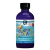 Nordic Naturals Children's DHA Liquid (4 Fl Oz) #10070060 1 Nordic Naturals Children's DHA Liquid (4 Fl Oz) #10070060 -Personal Care Store 227233 DEFAULT L