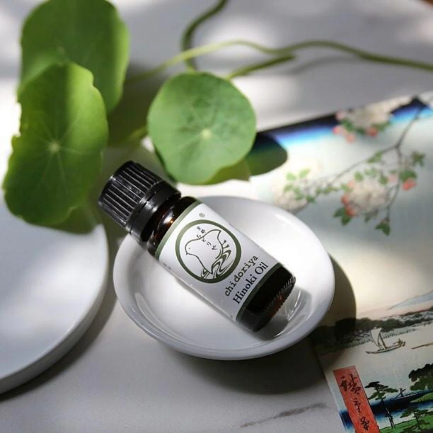 Chidoriya Hinoki Aroma Oil (Japanese Cypress) (10 Ml) #10070774 4 Chidoriya Hinoki Aroma Oil (Japanese Cypress) (10 Ml) #10070774 - Image 2