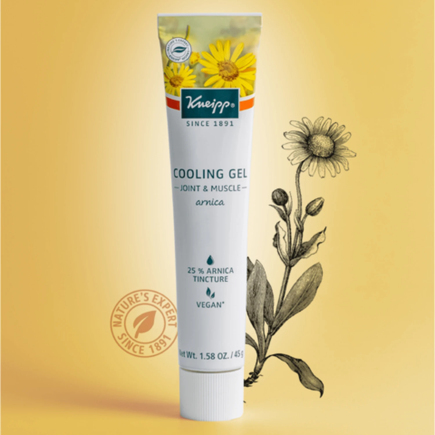 Kneipp Arnica Joint & Muscle Cooling Gel (1.58 Oz) #10067154 4 Kneipp Arnica Joint & Muscle Cooling Gel (1.58 Oz) #10067154 - Image 2