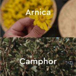 Kneipp Arnica Joint & Muscle Cooling Gel (1.58 Oz) #10067154 7 Kneipp Arnica Joint & Muscle Cooling Gel (1.58 Oz) #10067154 -Personal Care Store productimage 68 min c3ac7aef 65f4 4fbc 8d33 668b8689f90f