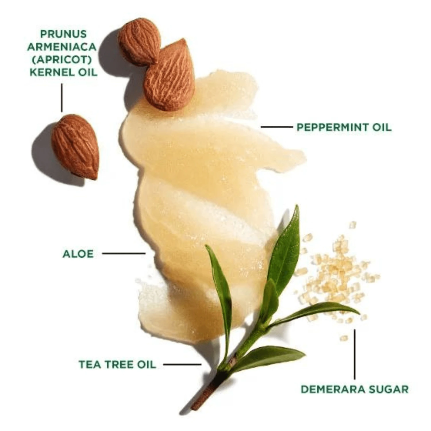 Jack Black Exfoliating Scalp Scrub & Shampoo (5 Oz) #10086873 4 Jack Black Exfoliating Scalp Scrub & Shampoo (5 Oz) #10086873 - Image 2